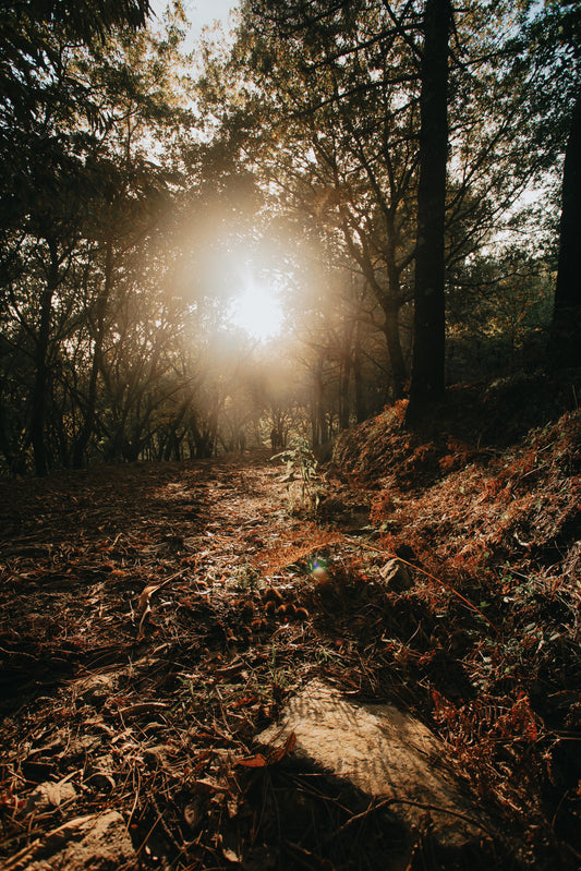 Clearing Space for a Calmer Mind